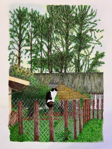 Gata preta e branca em jardim com cerca, feita com bico de pena colorido.