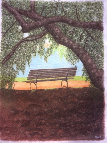 Cena de parque com árvores e banco sob luz natural.