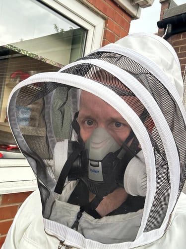 Wasp suit wasp treatment Newcastle