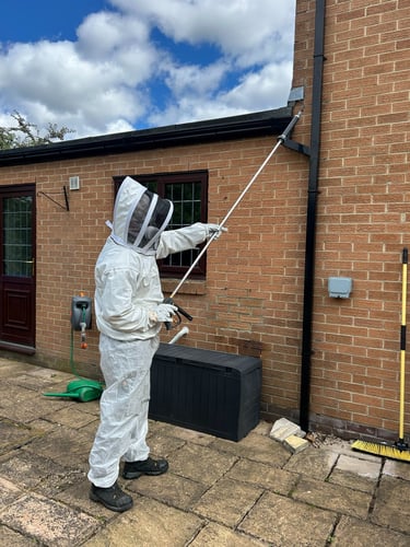 Professional wasp nest treatment on a brick house roofline.