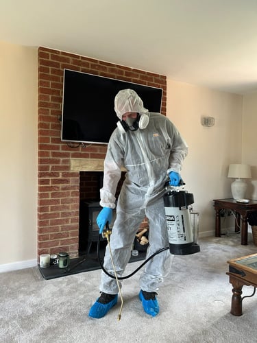 Professional insecticidal spray treatment of a lounge in a house