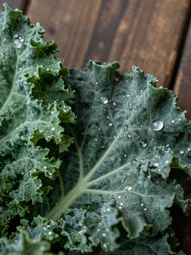 Close-up macro shot of crisp heirloom kale leaves with morning dew drops, soft diffused north-facing natural daylight, moody shadows, rustic wooden background.