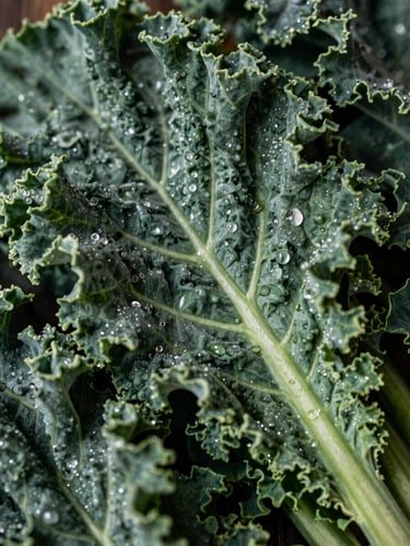 Close-up macro shot of raw, textured ingredients, dew on fresh organic kale, soft north-facing daylight, moody shadows.