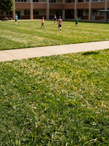 A wide-angle shot of a lush green school courtyard with manicured lawns, safe walking paths, and children playing in the background, warm natural daylight, 35mm photography