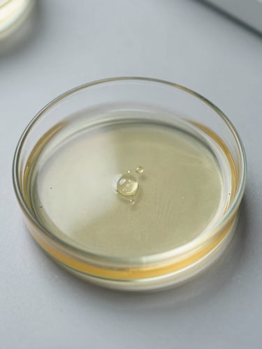 Macro close-up flat-lay of a glass petri dish containing pale-amber castor oil on a matte grey laboratory bench, overhead studio lighting revealing oil viscosity and slight meniscus, no text or labels visible