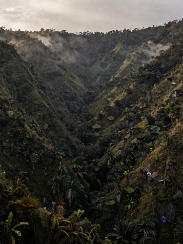 Wide environmental shot of a rugged Colombian mountain landscape at dawn, mist rising between deep green forest ridges, natural light, authentic documentary style.