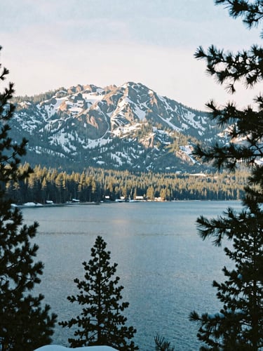 Crisp alpine photography, cold morning light, snow-dusted pine branches framing a quiet Lake Tahoe shoreline, wide-angle lens, 35mm film texture