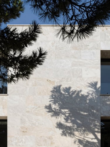 Architectural elevation of a modernist villa facade made of white Brač limestone, sharp shadows from Mediterranean pine branches, minimalist design.