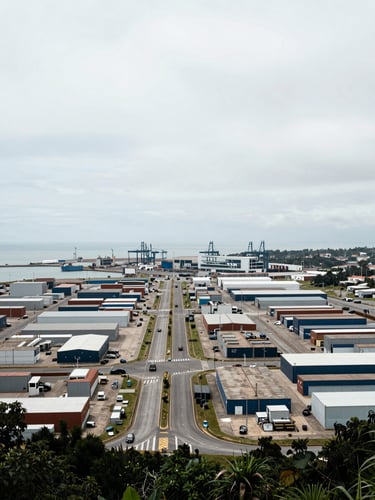 Wide panoramic elevated view from a ridge above an industrial logistics hub in Urabá, Colombia — paved internal roads converging toward a distant port terminal, graphite concrete aprons under flat overcast daylight, no people, infrastructure at full operational scale filling the right two-thirds of the frame, open sky on the left
