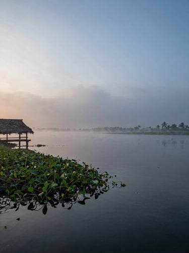 Close wide shot of haor wetland at early morning, Bangladesh — mist rising off dark water in the foreground, a thatched fishing platform visible at the left edge, aquatic vegetation trailing across the lower frame, soft diffused dawn light filtering through low cloud, no direct sun, cool blue-grey tones with hints of amber at the waterline