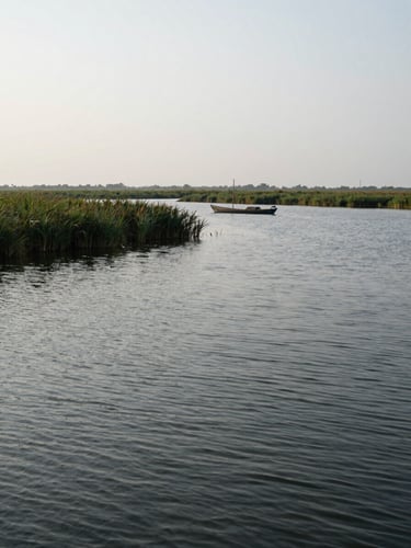 Wide environmental frame of a haor wetland at overcast midday — still water stretching to the horizon, dense reeds at the far left edge, a fishing boat resting in the middle distance, soft diffused light revealing the water's texture and the muted greens and greys of the landscape; no people posed, no drone elevation, shot from water level with the horizon placed at upper third