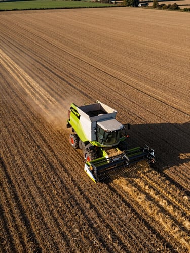 A wide-angle, portrait-oriented drone shot of a massive Oxfordshire arable field during early autumn harvest. A modern GPS-guided combine harvester is actively operating, leaving clean straw lines on the rich loam soil. Low, directional morning light casts long shadows across the landscape.