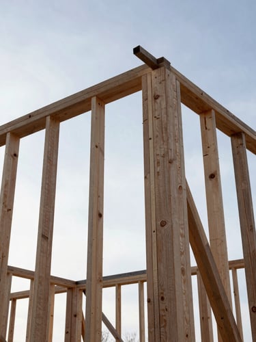 Low-angle heroic shot of a newly constructed timber frame against a stark winter sky, sharp details, gritty industrial photography