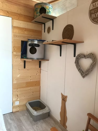 Chambre à la pension Un Rêve de Chat