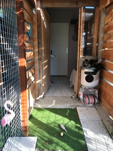 Chambre avec jardin à la pension Un Rêve de Chat