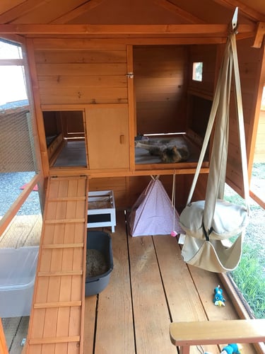 Chambre aménagée à la pension Un Rêve de Chat