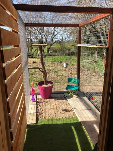 Jardin attenant à une chambre à la pension Un Rêve de Chat