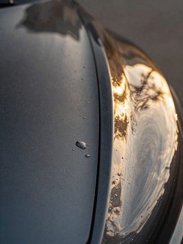 Extreme close-up macro of a dark car hood panel during detailing — left half shows dull oxidized paint with water beading unevenly, right half shows the same panel after polishing, catching sharp golden-hour light with mirror-like reflection of tree branches