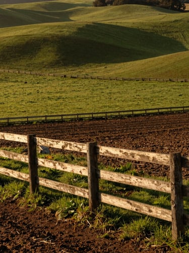 Wide environmental shot of rolling green pasture at golden hour, rustic wooden fence line in the foreground, rich soil textures, 35mm photography