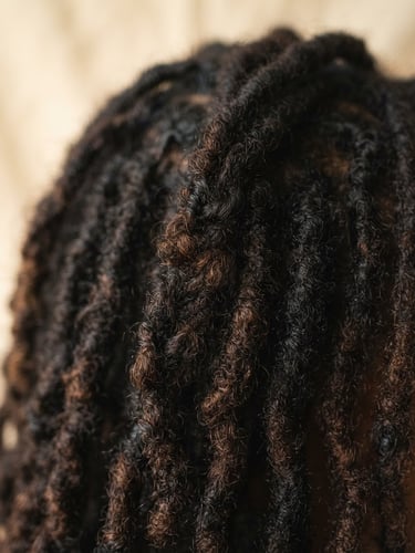 Macro close-up of healthy, intricate loc textures under soft twilight natural light, warm cream background, 50mm lens