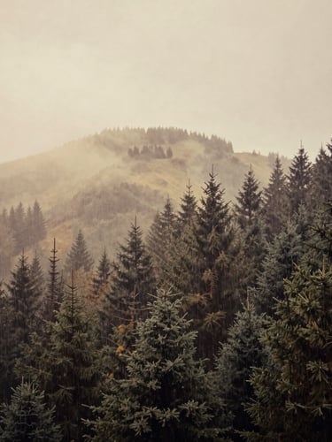 Cinematic wide shot of misty evergreen hills of Lansdowne, soft rainy-day light filtering through overcast skies, desaturated pine forest, vintage 35mm lens.