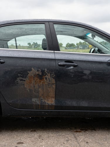 Wide split-view of a dark sedan, left half showing a dusty oxidized paint surface with grime along the door panel, right half showing the same panel after detailing — deep clean gloss under consistent overcast daylight, water beading visible, shot from a level side angle