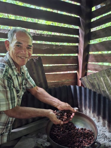 man is showing dominican cacao beans in the dominican republic