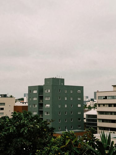 A quiet urban landscape affected by policy under natural diffused overcast daylight, desaturated earth tones, deep green accents, documentary film photography.