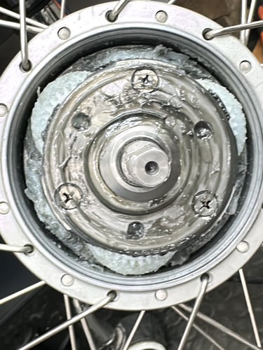Close-up of a bicycle wheel hub with fresh grease applied to the internal gears for maintenance.