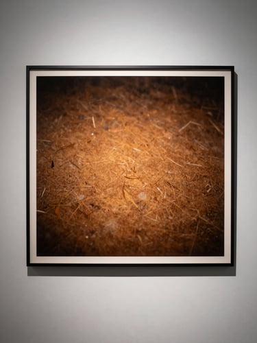 Large-format photographic print mounted on gallery wall, even directional lighting from upper left, deep warm tonal surface visible at close range — substrate texture catches the light, work centered in generous negative space, shot from slight distance to show scale