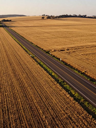 Wide-angle landscape of a rural highway cutting through golden soy fields in São Paulo interior, late afternoon warm light, 35mm film look