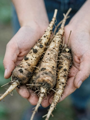 Close-up of soil-dusted hands holding freshly harvested root vegetables, soft overcast daylight, organic textures, 35mm film photograph.