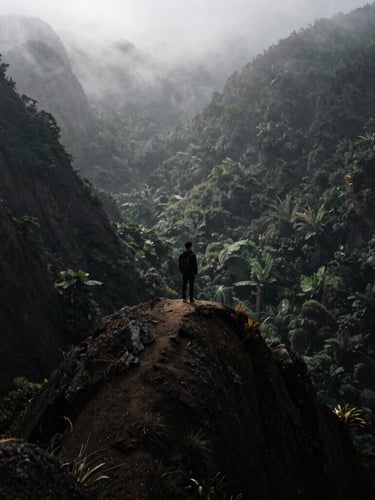 A solitary figure standing on a sharp, windswept mountain ridge looking into a deep misty valley, low-angle dramatic sunlight, dark charcoal tones.