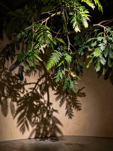 Low-key dramatic lighting on a massive overhead botanical installation, mature green branches casting deep architectural shadows on a warm plaster wall, wide-angle environmental framing.
