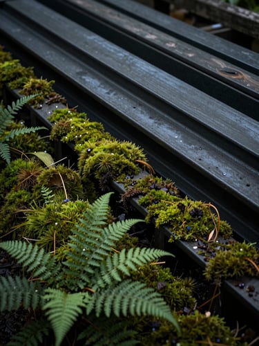 Close-up of raw architectural materials and structural steel frames nestled among deep green moss and ferns, dramatic side lighting, moody atmosphere.