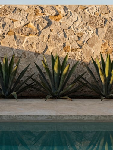 Architectural agave plants and structural vegetation next to a minimalist concrete pool, sharp focus on raw stone textures, warm golden hour light, 35mm