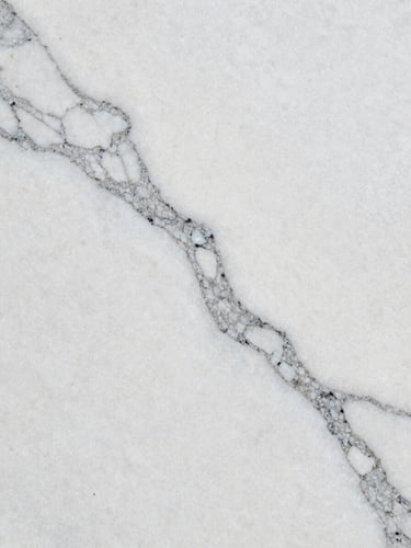 Extreme close-up macro of white Carrara marble surface, north-facing studio daylight raking across the slab from the left edge, revealing the full depth of grey veining — branching capillaries of mineral trace running diagonally across the frame, the stone filling the entire composition with no background visible, grain texture crisp under soft natural illumination