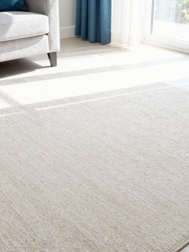 Bright high-key interior photography of a sun-drenched modern living room with immaculate plush beige carpet, soft daylight pouring in, sharp focus.