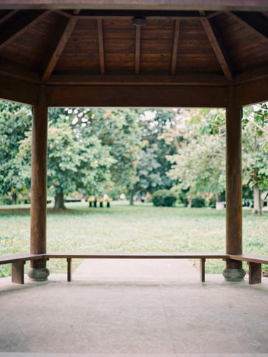 A quiet public park pavilion with wood beams, lush green surroundings, soft natural light, medium format film