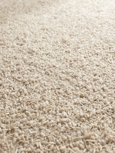 Close-up texture shot of premium low-pile wool carpet fibers under warm, natural side-light, highlighting the tactile grain and organic beige tones, 35mm lens