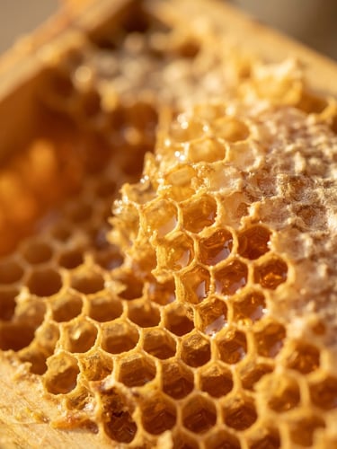 Macro shot of golden raw honeycomb glistening under warm golden-hour window light, shallow depth of field, 35mm