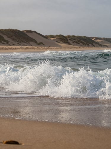 Close environmental shot at early morning, overcast coastal light, a wave breaking over a shallow sandbar at Praia do Amor — the whitewater rushing toward camera, the dune ridge visible in the soft background, no people in frame, natural texture of wet sand in the foreground