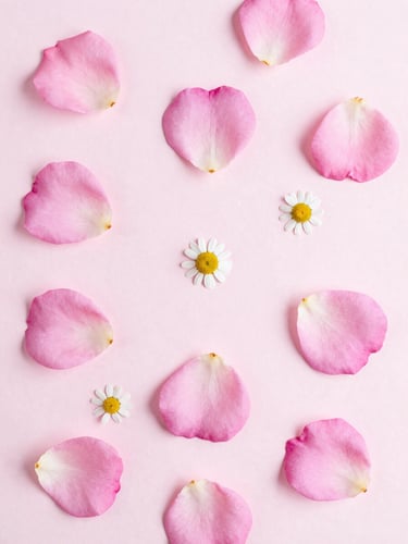 Minimalist overhead shot of fresh rose petals and chamomile flowers on a soft pink surface, diffused morning light, clean editorial composition
