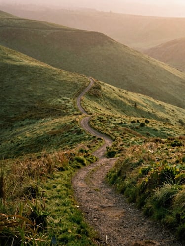 A wide, atmospheric landscape of mist-covered green hills at golden hour, a single winding path disappearing into the distance, soft directional window light feel, 35mm film style.