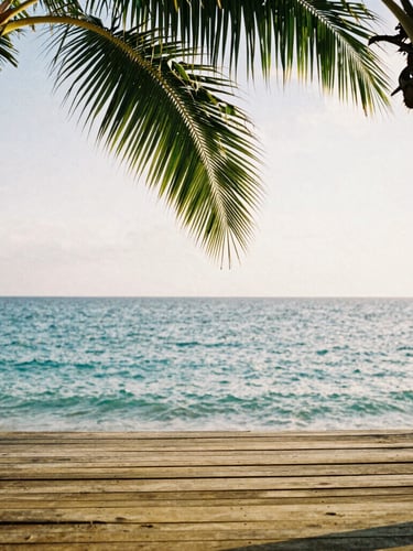 Warm golden hour sunlight filtering through coconut leaves onto a rustic wooden terrace overlooking a completely calm, turquoise ocean, 35mm film aesthetic, shallow depth of field
