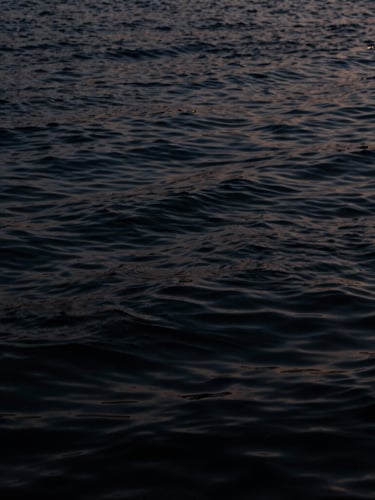 Moody low-key photography of dark water ripples, soft midnight blue tones, dramatic chiaroscuro, 35mm film, portrait aspect