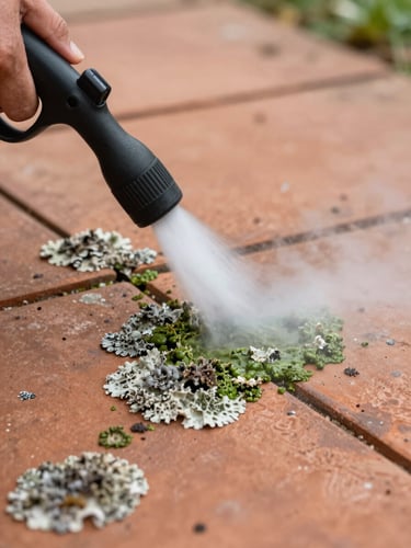 Close-up medium shot of a steam cleaning nozzle held close to a lichen-encrusted terracotta tile, a jet of low-pressure steam dissolving green biological matter, soft natural daylight, detail of the tile texture visible beneath the cleared area