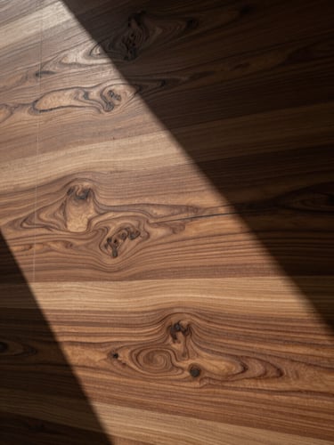 Low-angle natural mountain light cast across a textured hand-carved walnut wood panel, deep soft shadows, architectural scale.