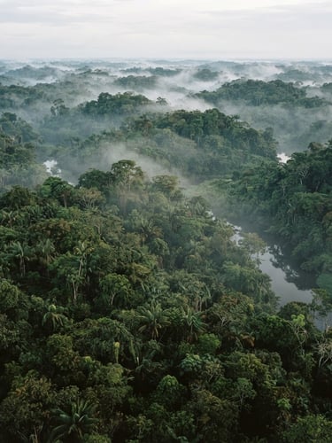 Wide environmental aerial view of dense Amazonian canopy, humid morning mist rising from the trees, documentary photography, medium format film.
