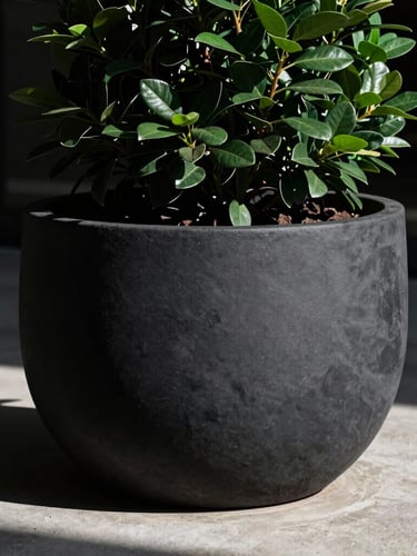 Dramatic architectural close-up of a monolithic charcoal-black fiber planter on a raw concrete terrace, sharp side-lighting casting long shadows, deep emerald green foliage, medium format.